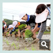 田植え〈阿武町〉