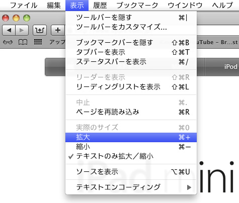 Safari 5 画面シャッター